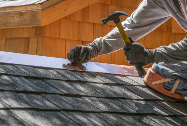 Best Roof Inspection  in Warrensburg, IL