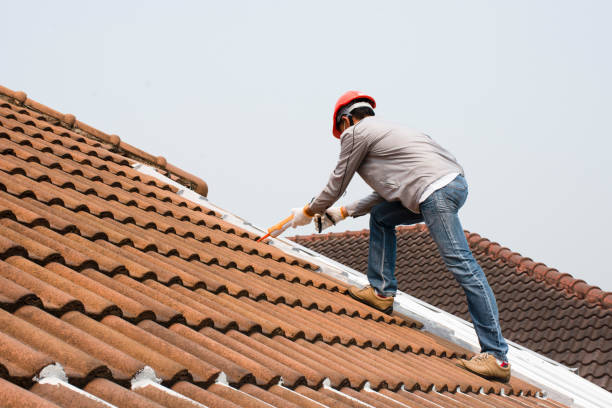 Best Commercial Roofing Services  in Warrensburg, IL