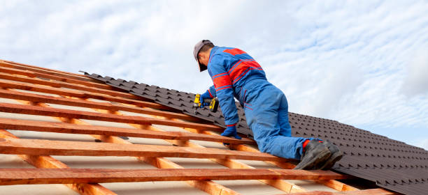 Best Asphalt Shingles Roofing  in Warrensburg, IL