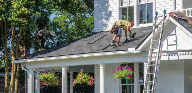 Best Roof Moss and Algae Removal  in Warrensburg, IL